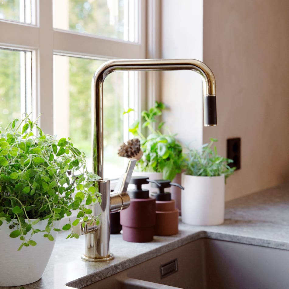 Brass kitchen faucet with plants on countertop | HTH