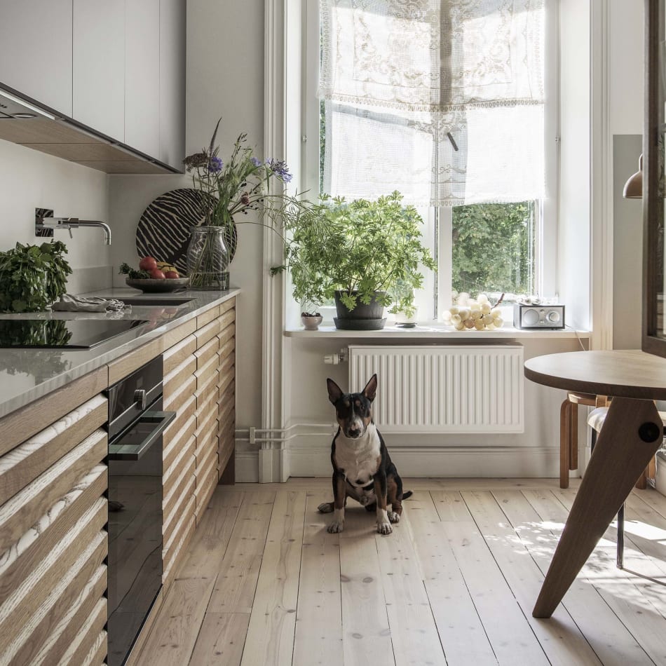 Trä köksskåp och golv med en svart ugn och en hund närvarande | HTH