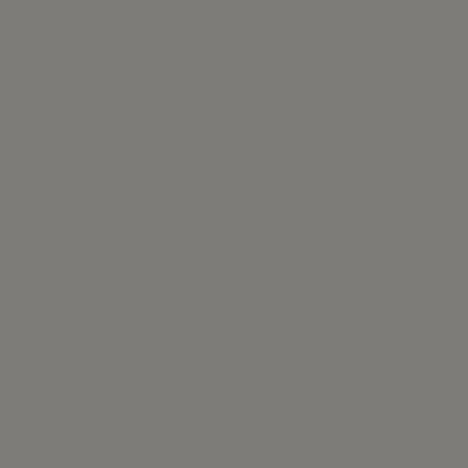 Gray kitchen cabinet front with smooth surface | HTH